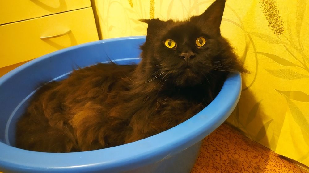 Photograph by Елена Смирнова