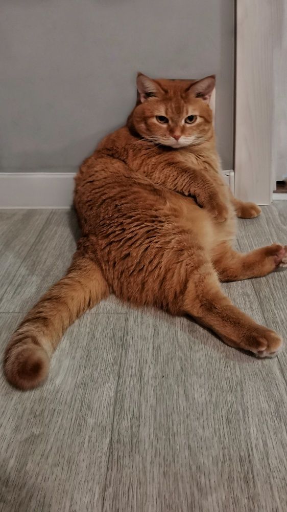 Photograph by Юлия Николаева