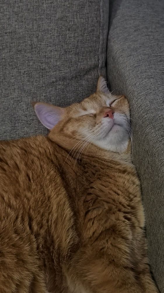 Photograph by Юлия Николаева