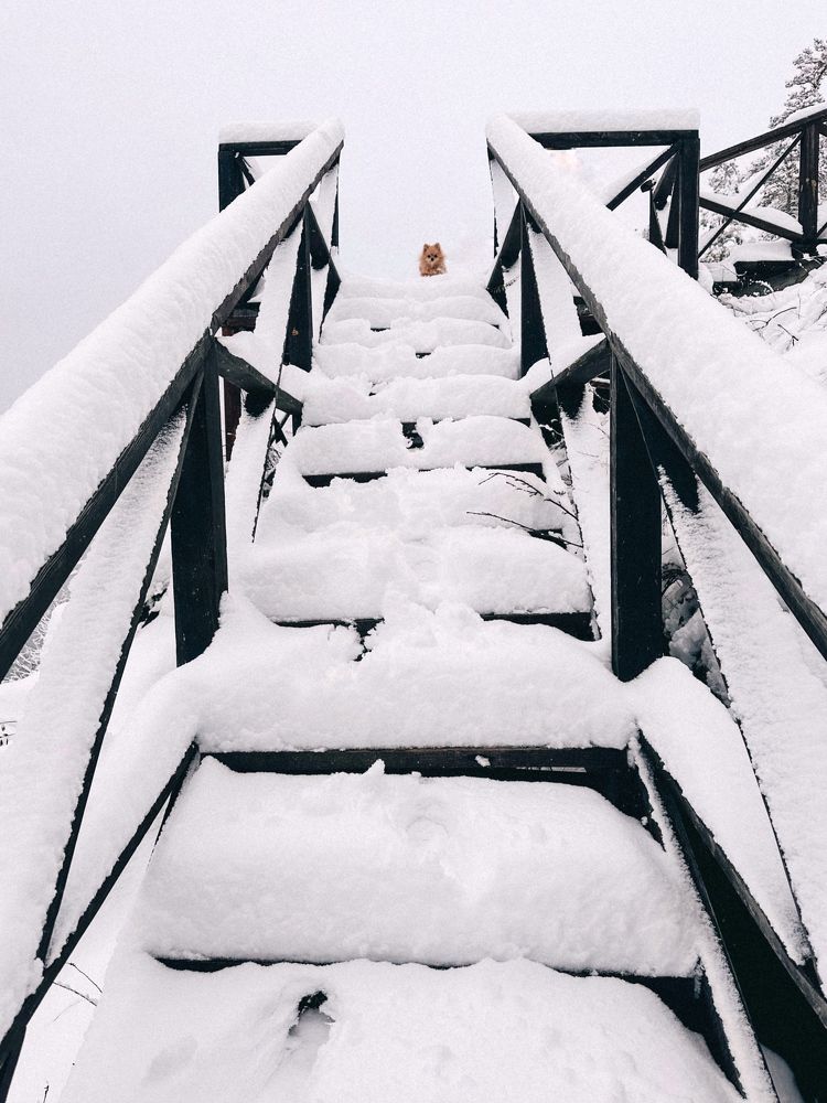 Photograph by Екатерина Целовальникова