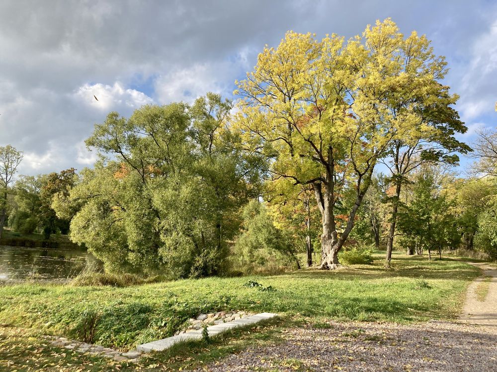 Photograph by Татьяна Коновалова