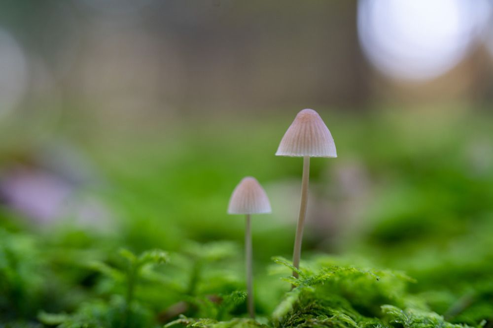 Photograph by Chetan Kapoor