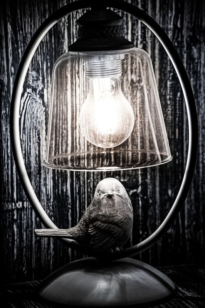 Photograph by Алексей Патрушев