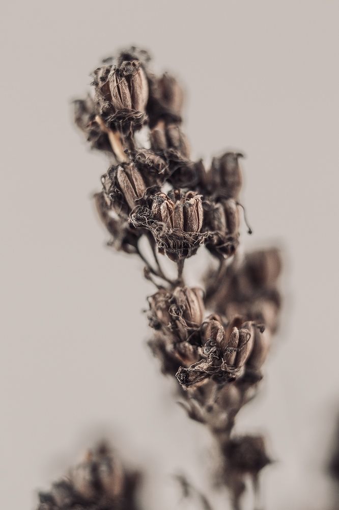 Photograph by Anna Turks