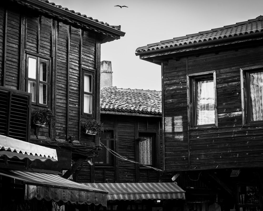 Photograph by Ivaylo Mironov