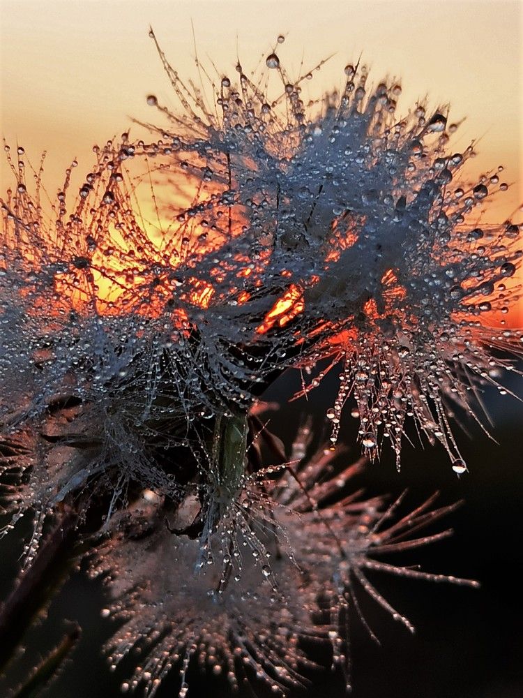 Photograph by ТАТЬЯНА/-+/-я ДОЛГУШЕВА