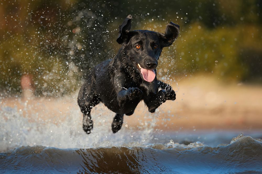 Photograph by Лана Полякова