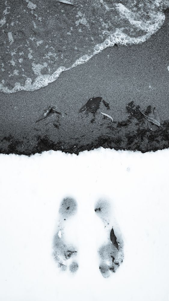 Photograph by Максим Шарыгин