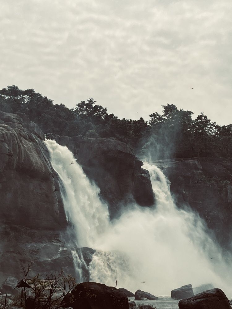 Photograph by Vivek Vinod