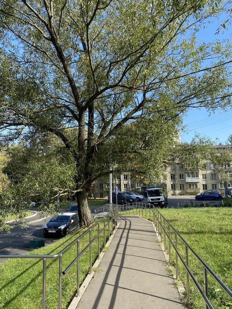 Наконец доброе утро)