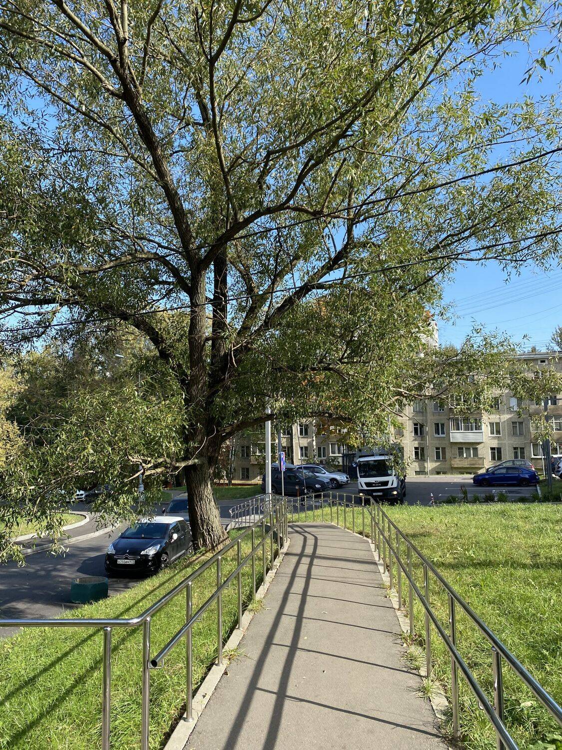 Наконец доброе утро)
