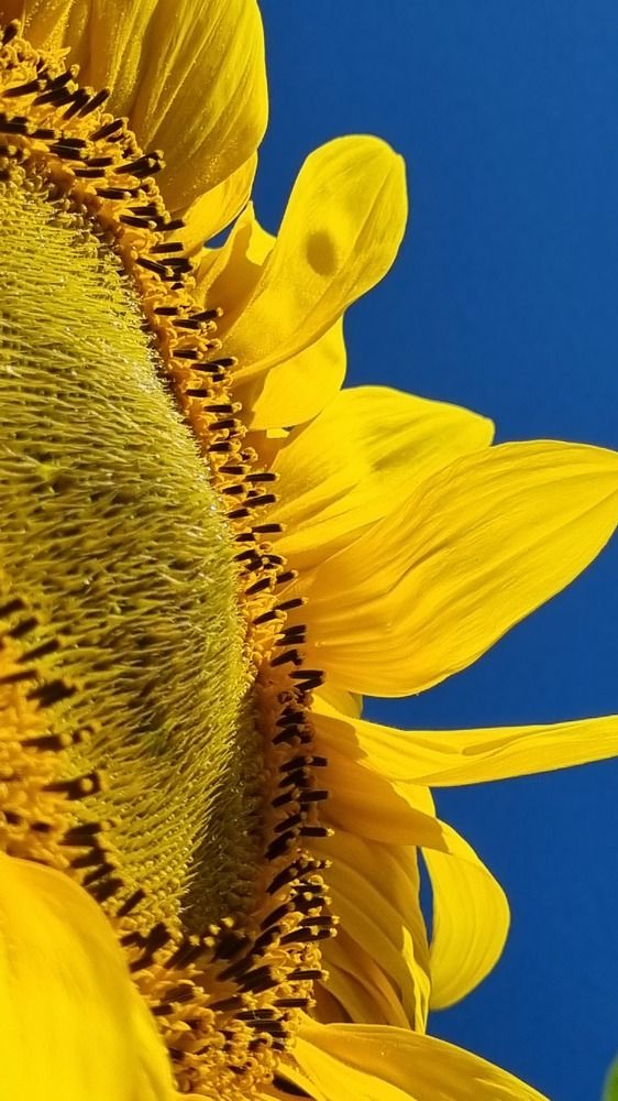 Photograph by Татьяна Устюжанина