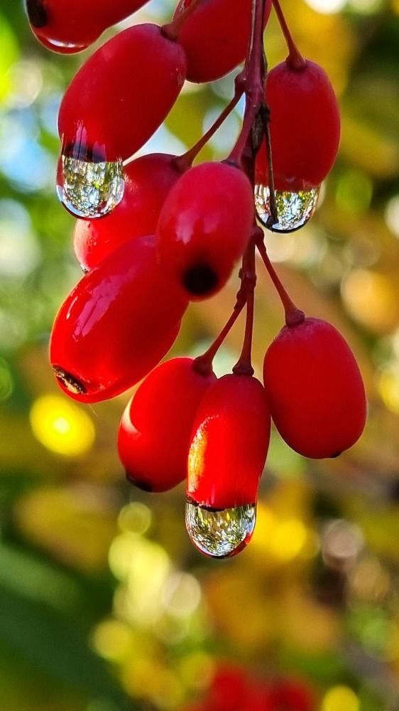 Photograph by Татьяна Устюжанина