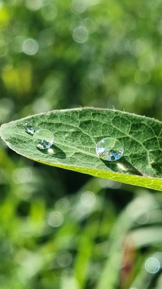 Photograph by Татьяна Устюжанина