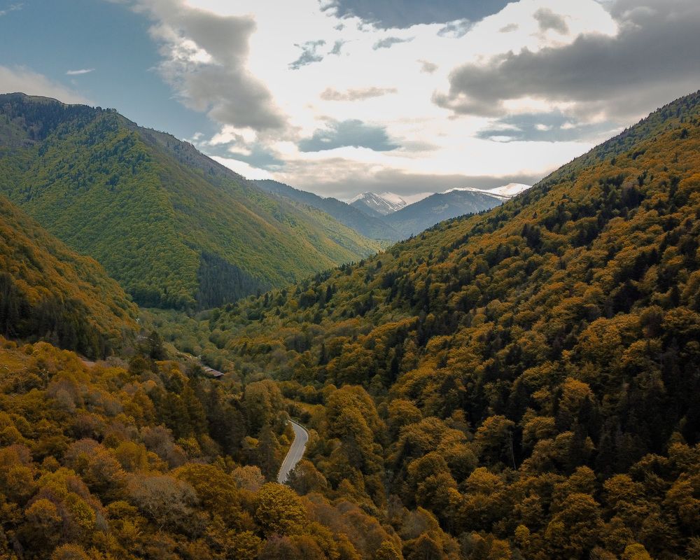 Photograph by Ivaylo Mironov