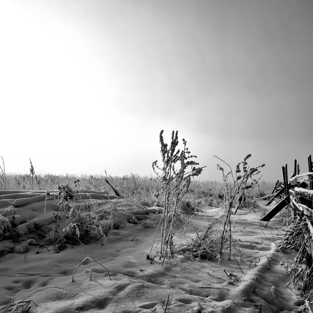 Photograph by Татьяна Устюжанина