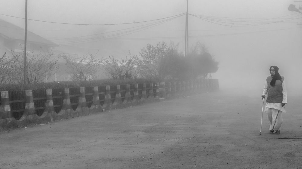 Misty Morning Stroll