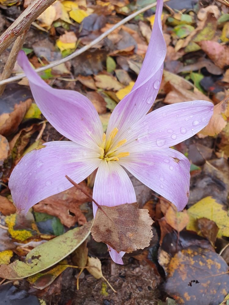 Photograph by Жанна Регор