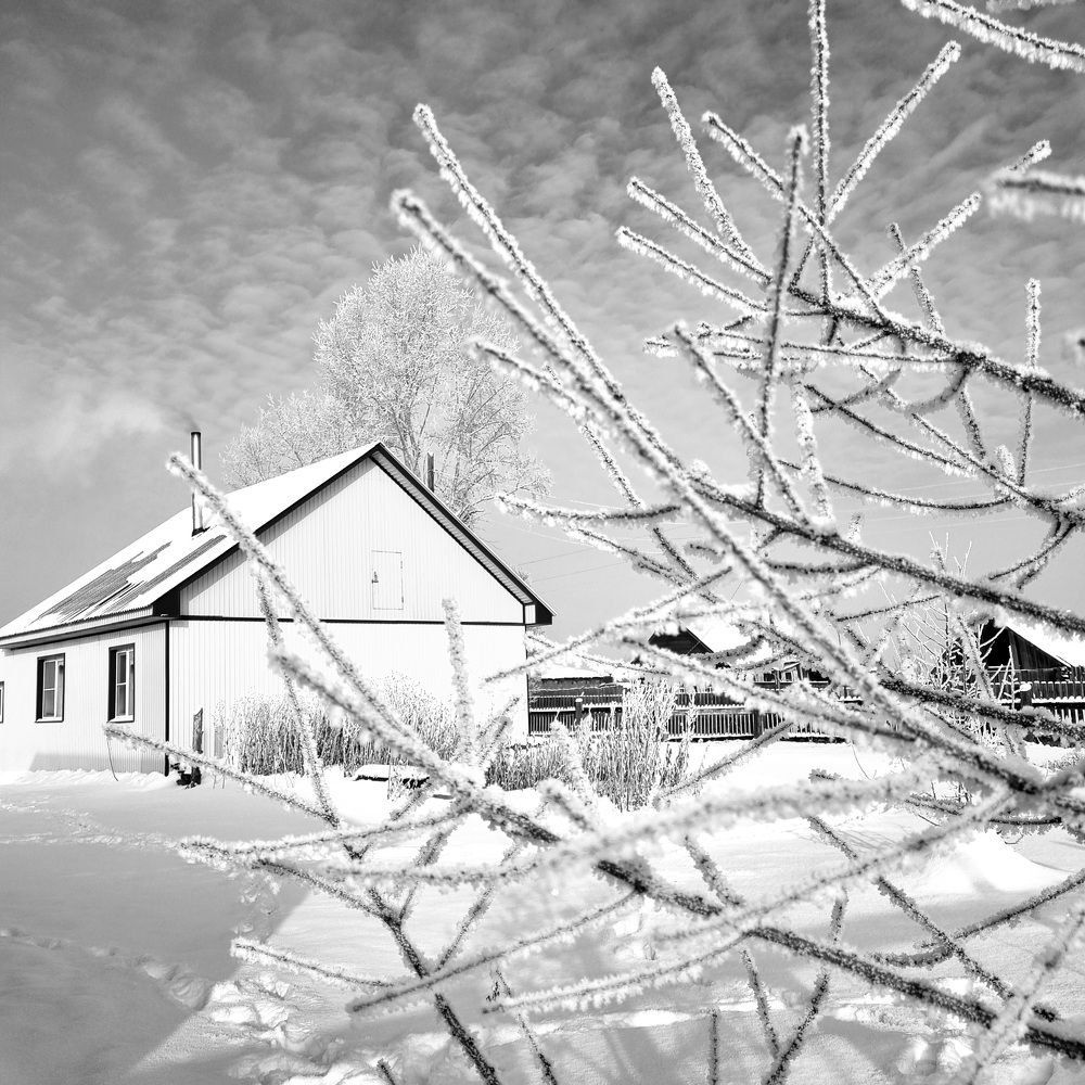 Photograph by Татьяна Устюжанина