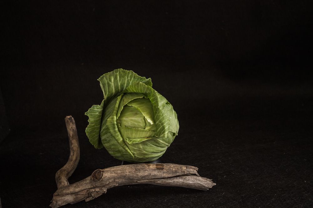 Photograph by Елена Глухарева