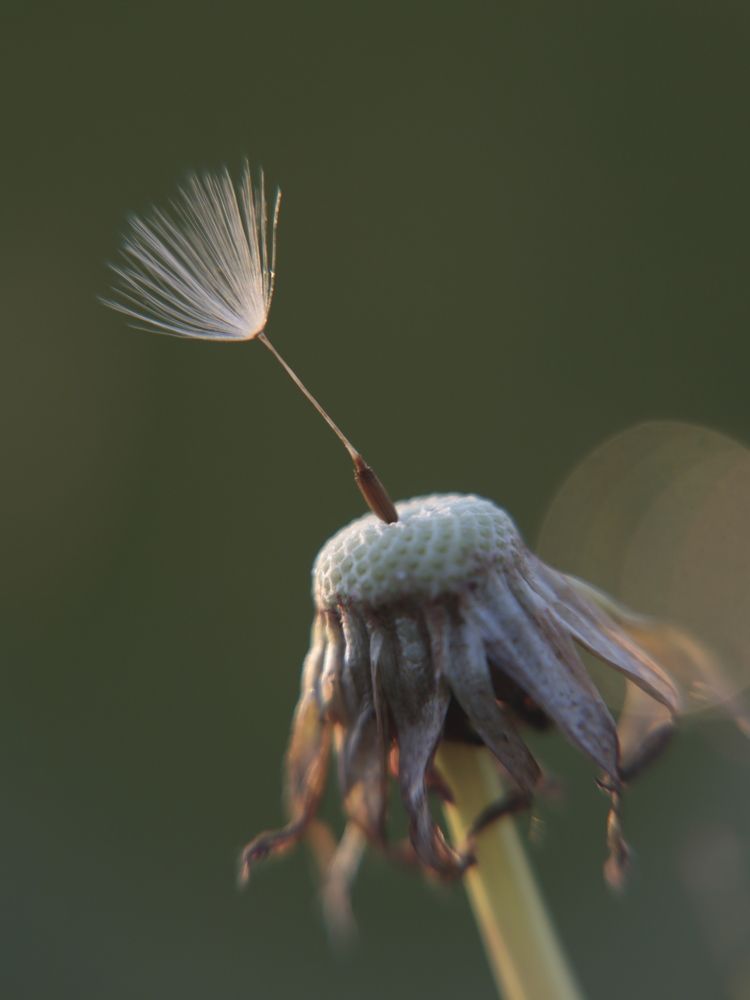 Photograph by Екатерина Слепнева