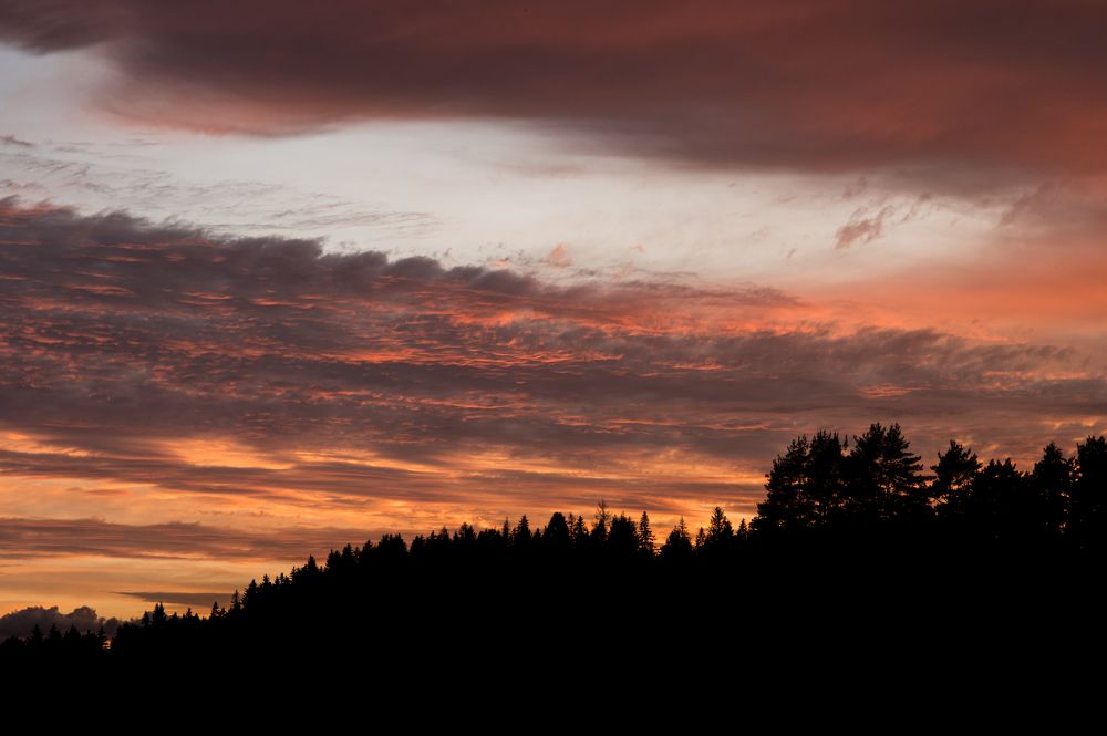 Photograph by Алексей Чудин