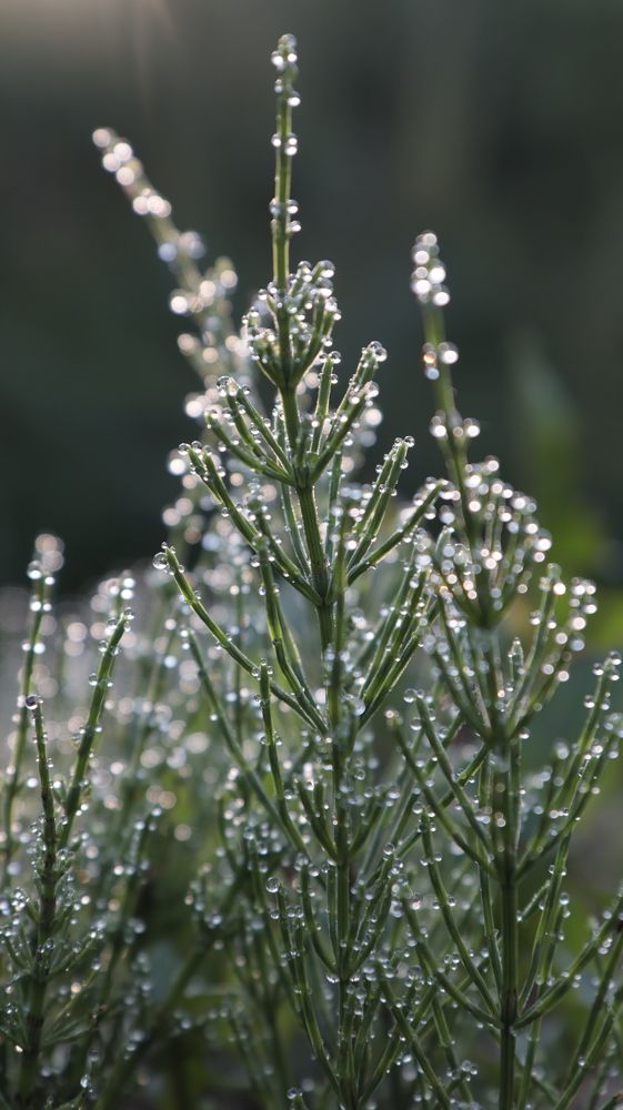 Photograph by Екатерина Слепнева