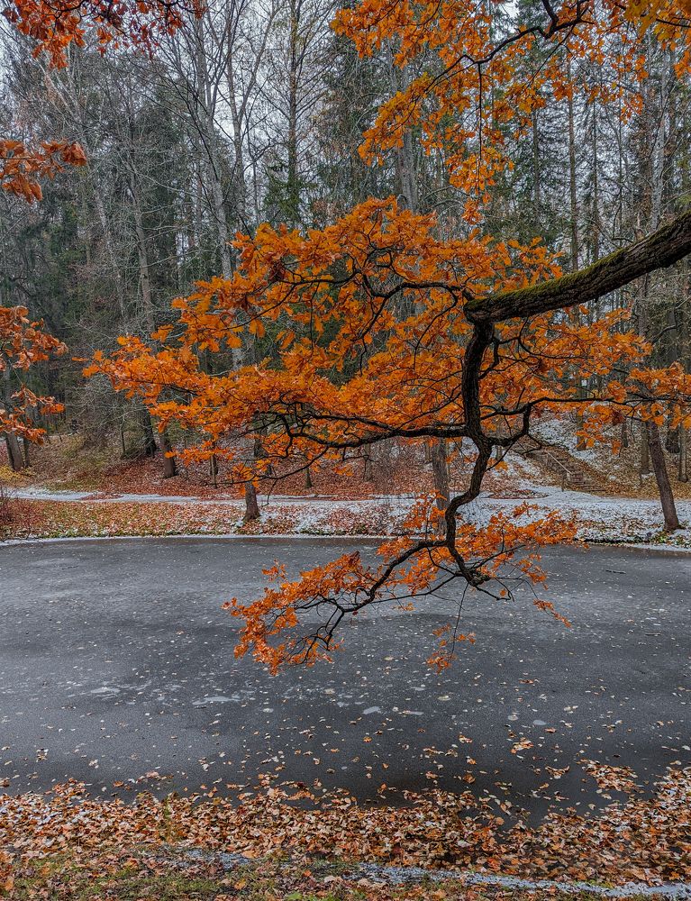 Photograph by Елизавета Коровина