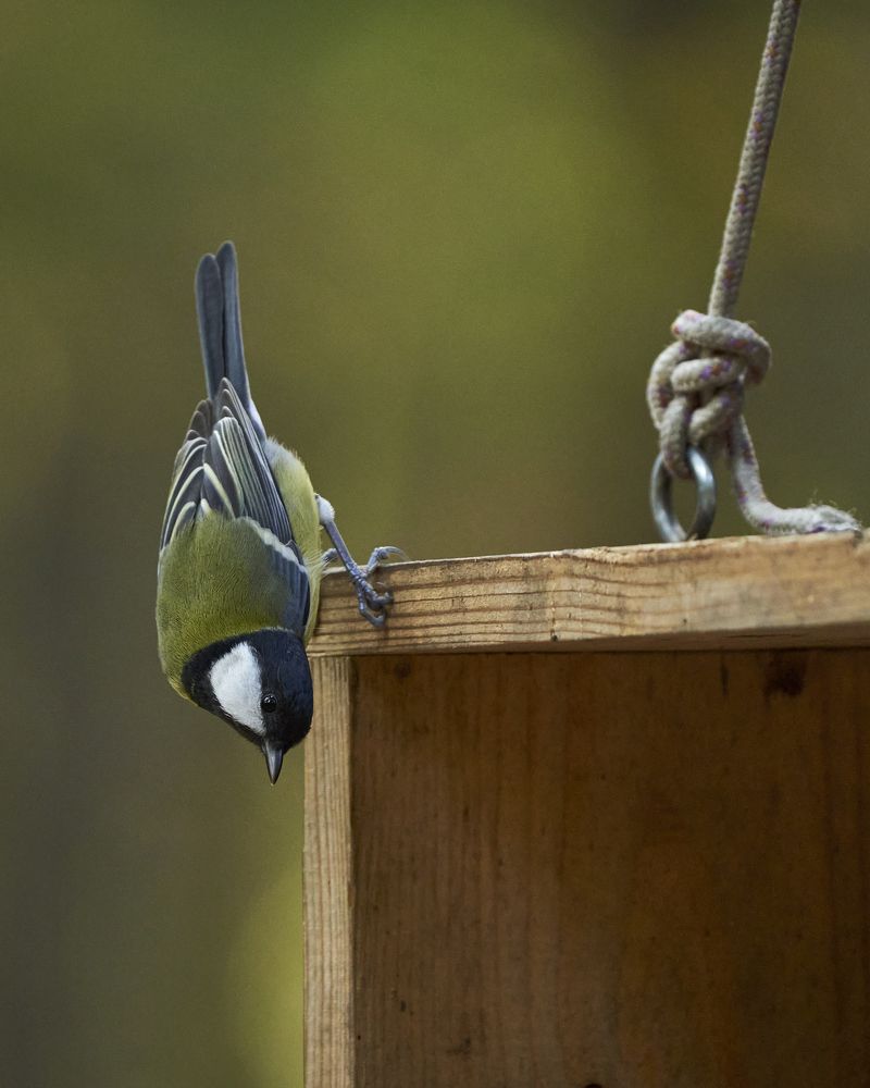 Photograph by Руфат Лажанский