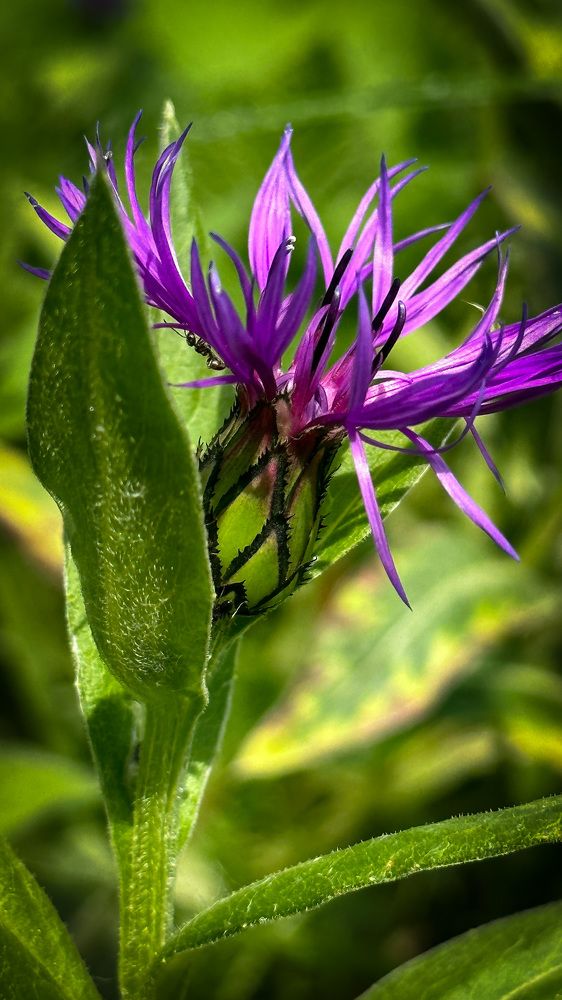 Photograph by Екатерина Слепнева