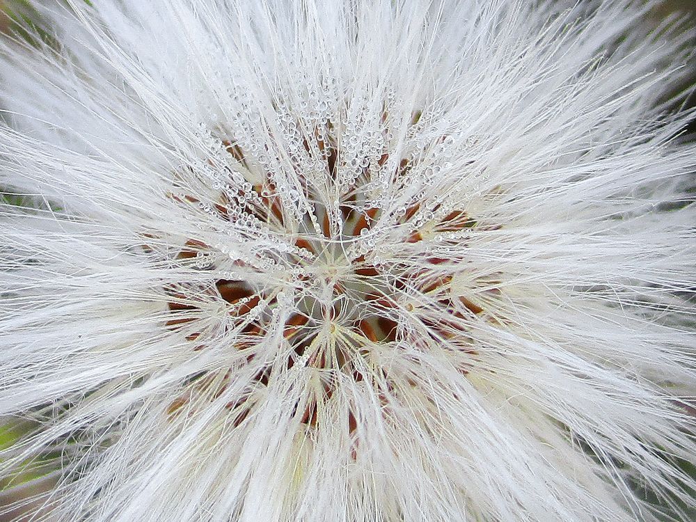 Photograph by Vitaliy Saposhnikov