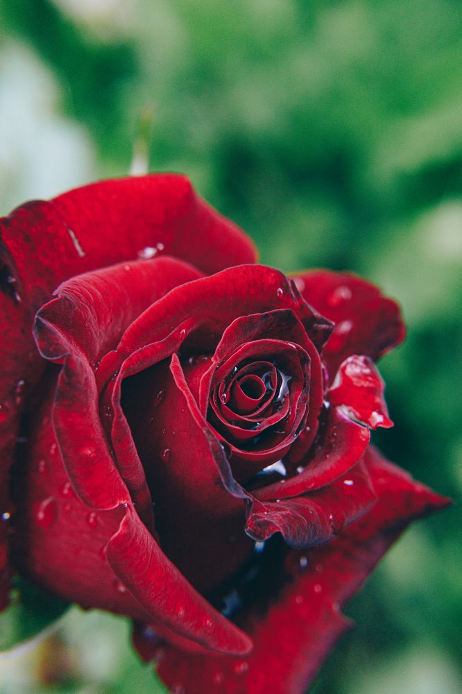 Photograph by Мария Федорова