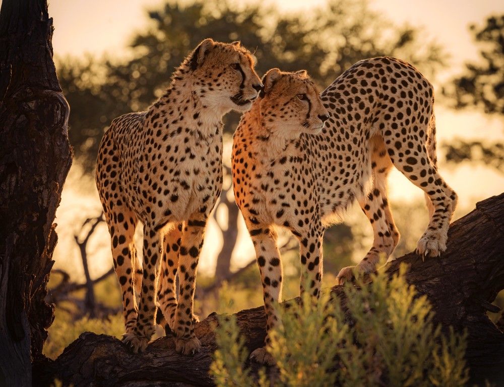 Photograph by Silje Wessel Pettersen