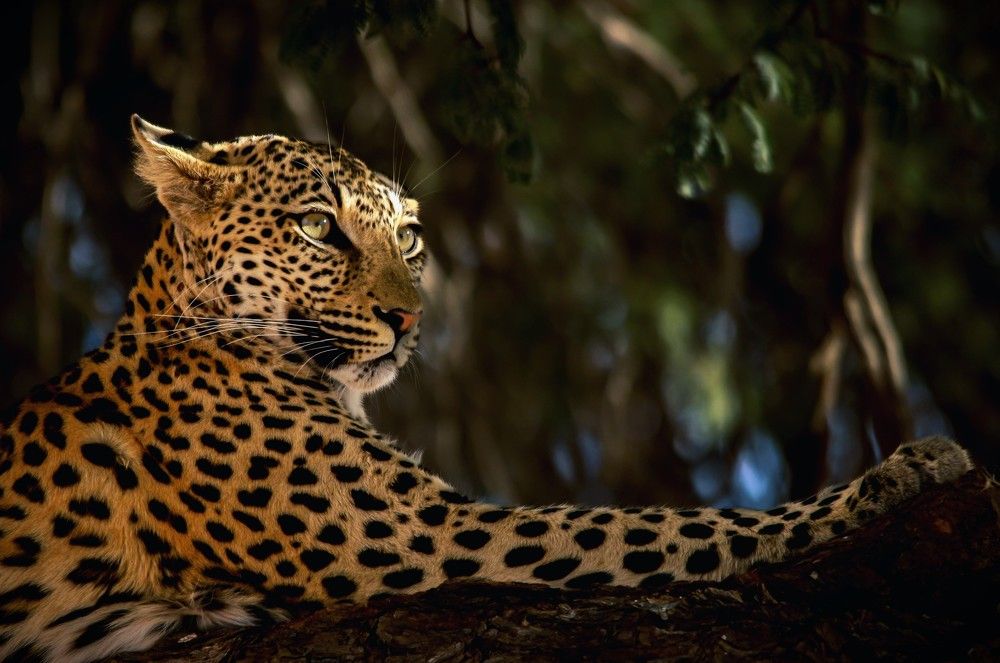 Photograph by Silje Wessel Pettersen