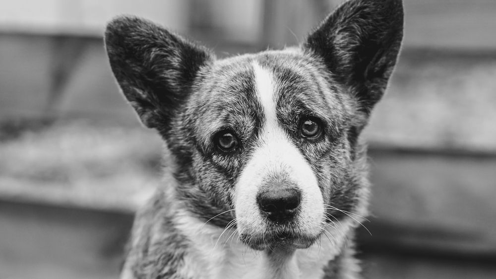 Фотография автора Людмила Капустина