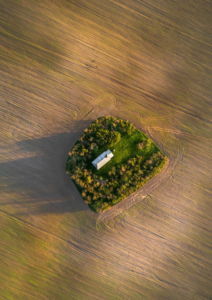 Фотография автора Ioana Crisan