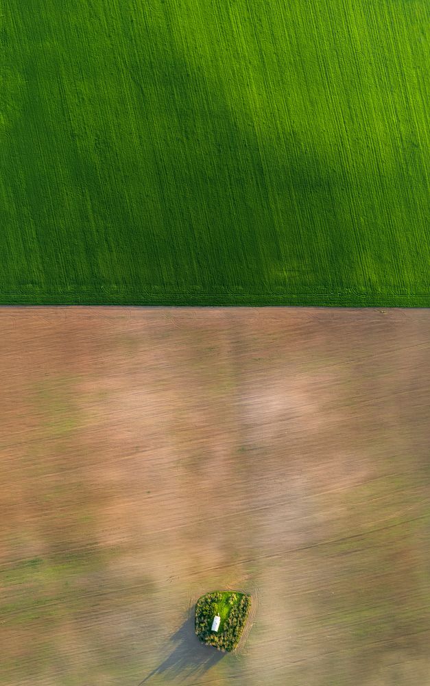 Фотография автора Ioana Crisan