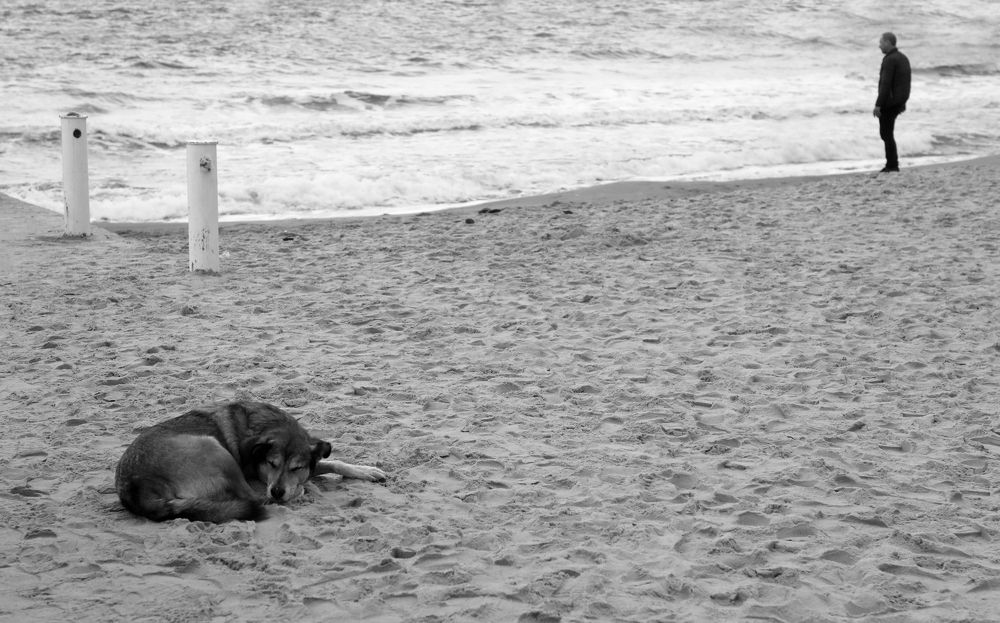 Photograph by Валерия Маркова