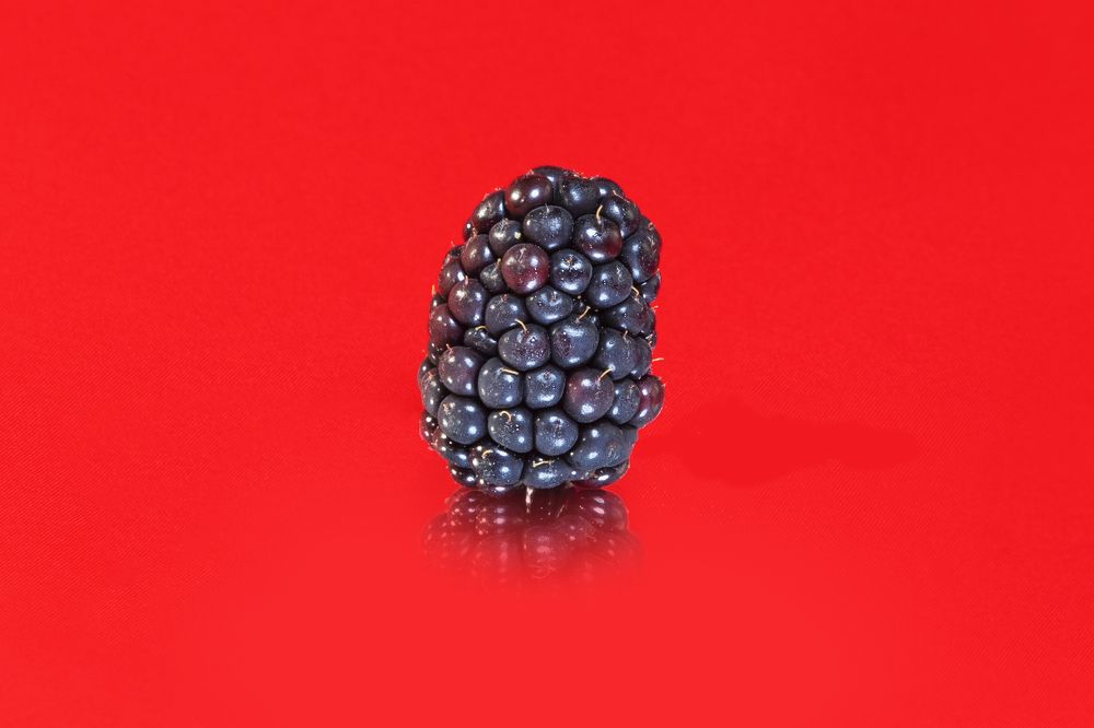 Photograph by Michelle Burge