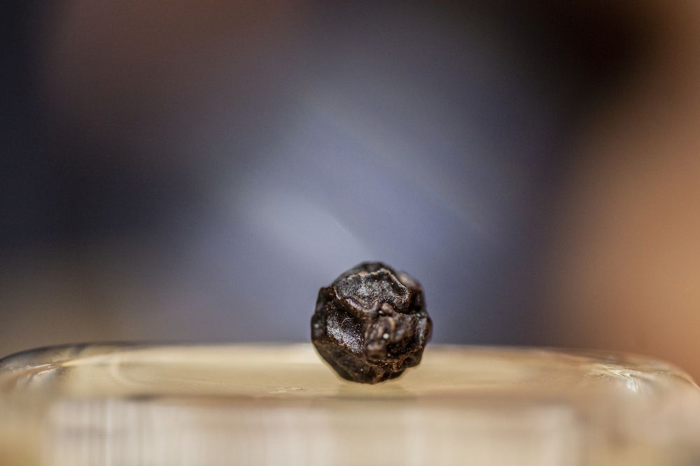 Photograph by Michelle Burge