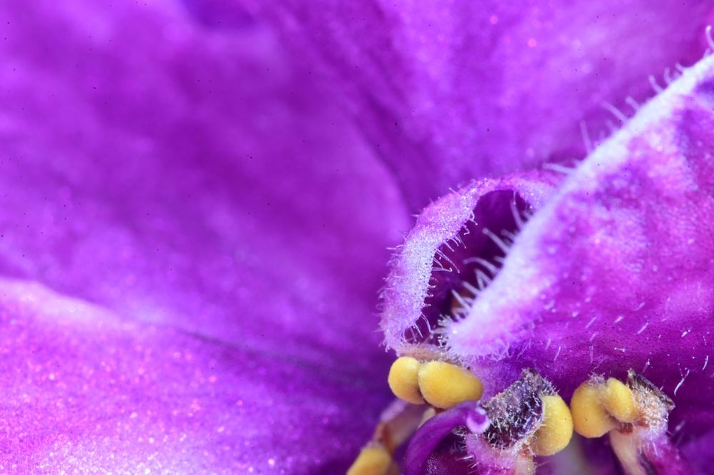 Фотография автора Vitaly Voloshin