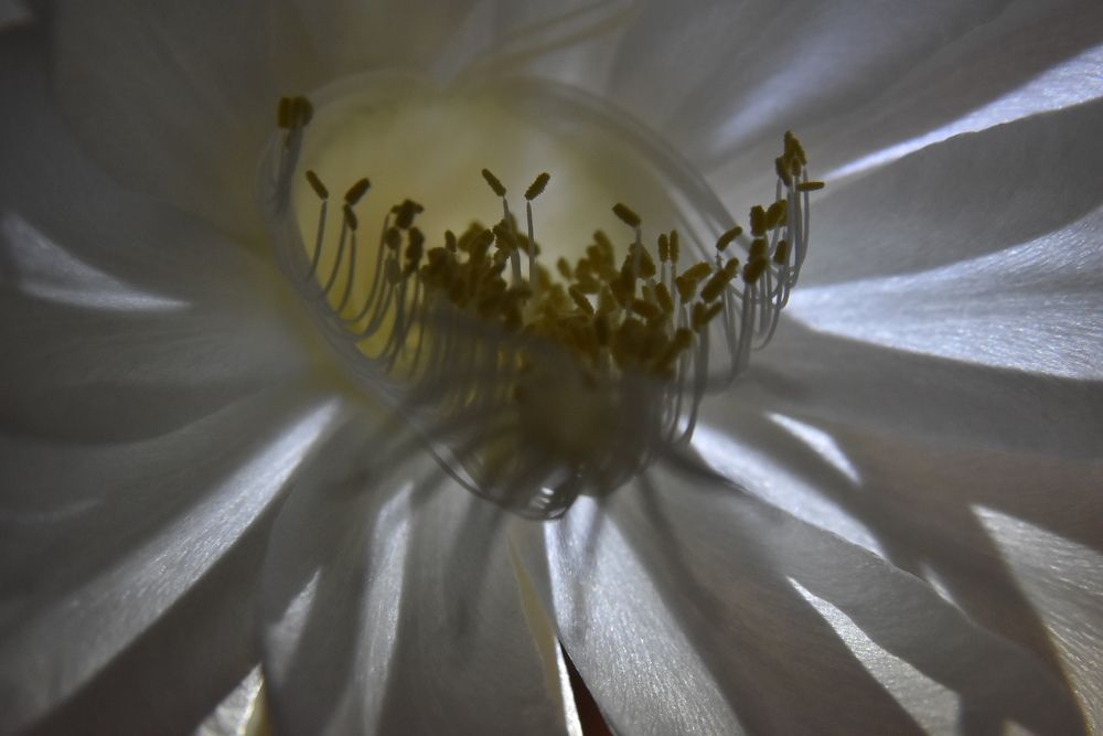 Photograph by Харис Шахмаметьев