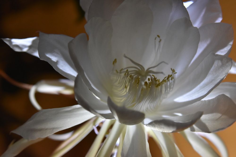 Photograph by Харис Шахмаметьев