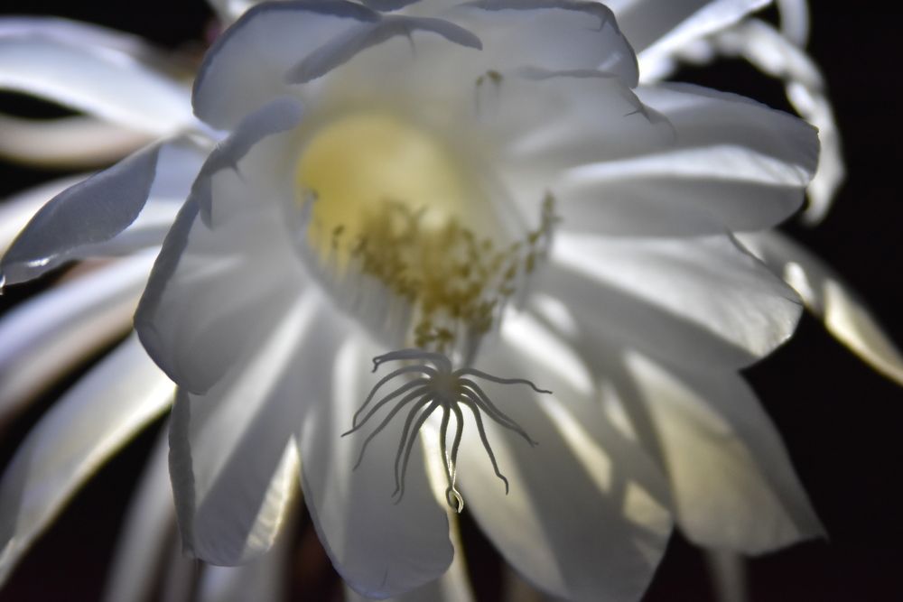 Photograph by Харис Шахмаметьев