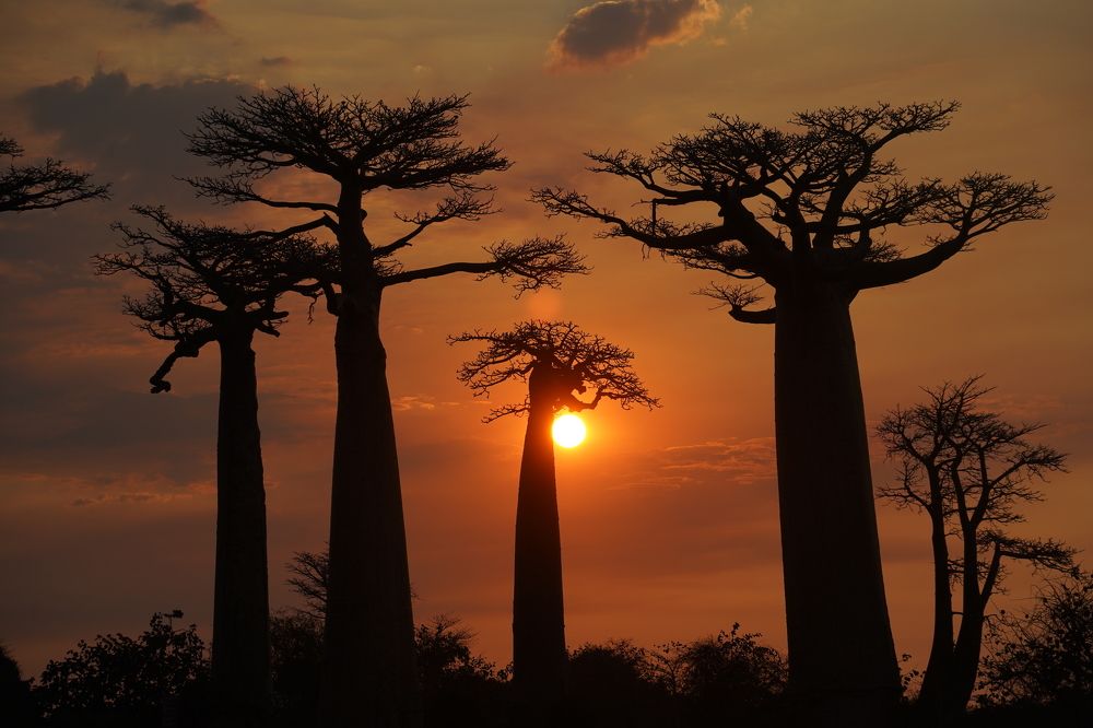 Photograph by Марина Кулагина