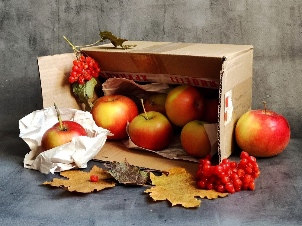 Photograph by Надежда Батракова