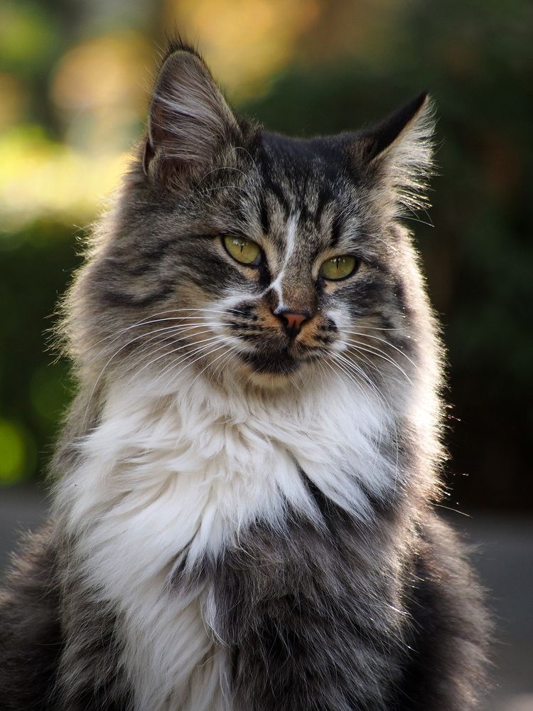 Photograph by Farid Ataei