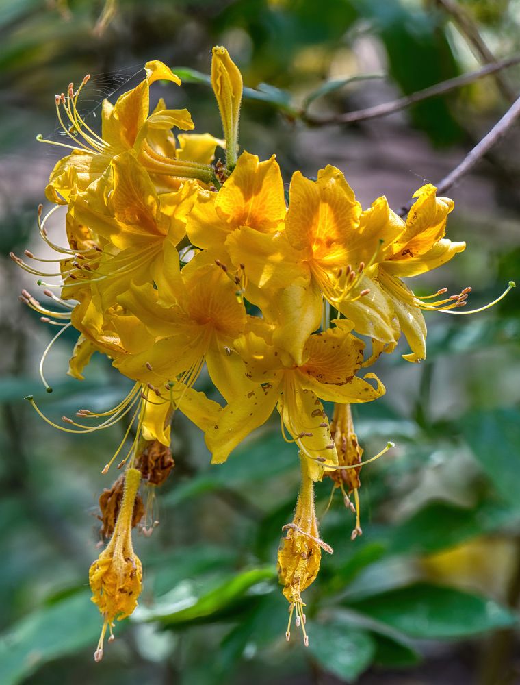 Photograph by Janis Serdienis