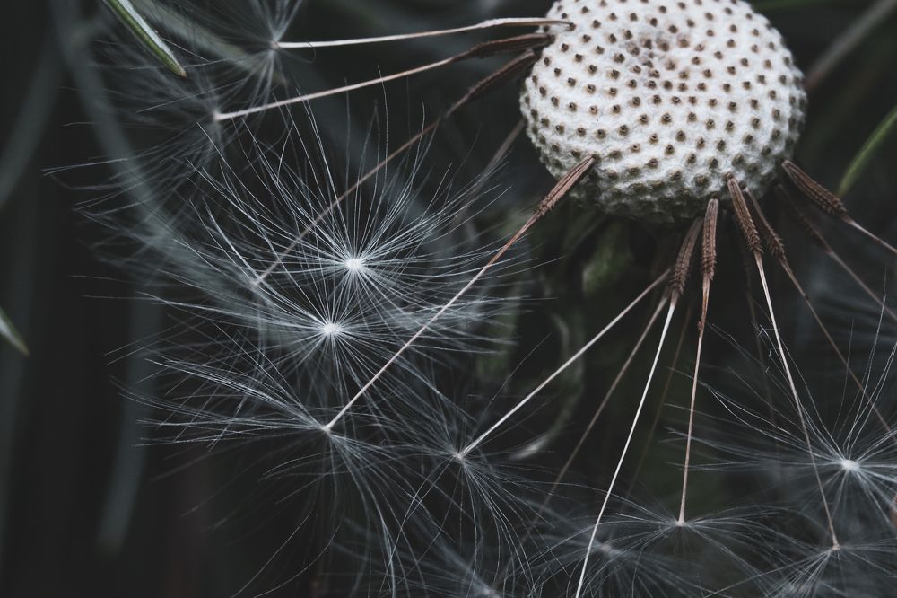 Photograph by Anna Turks