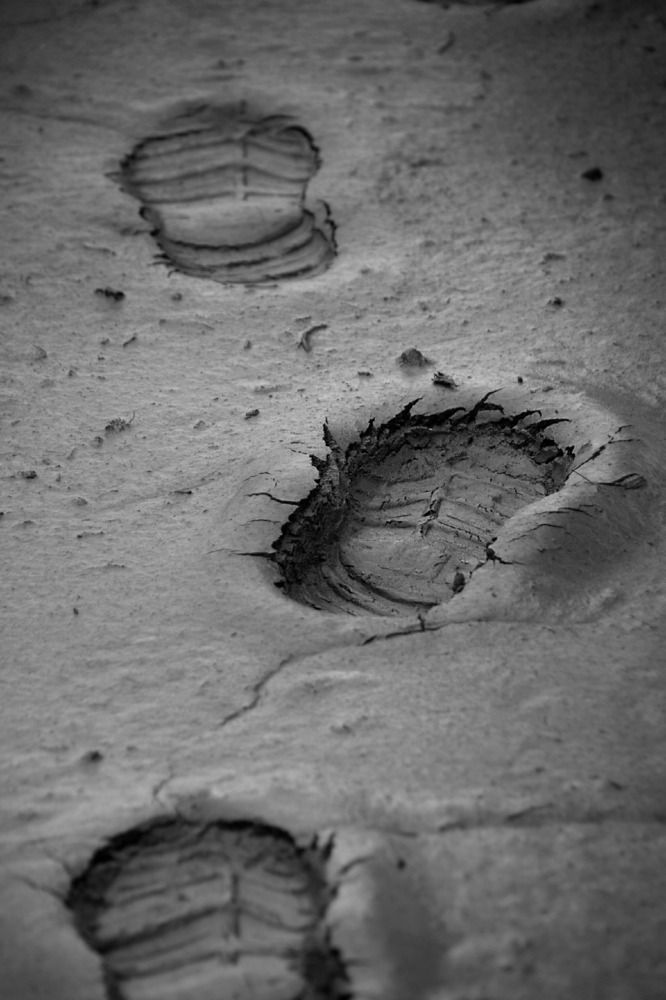 Photograph by Елена Ласун